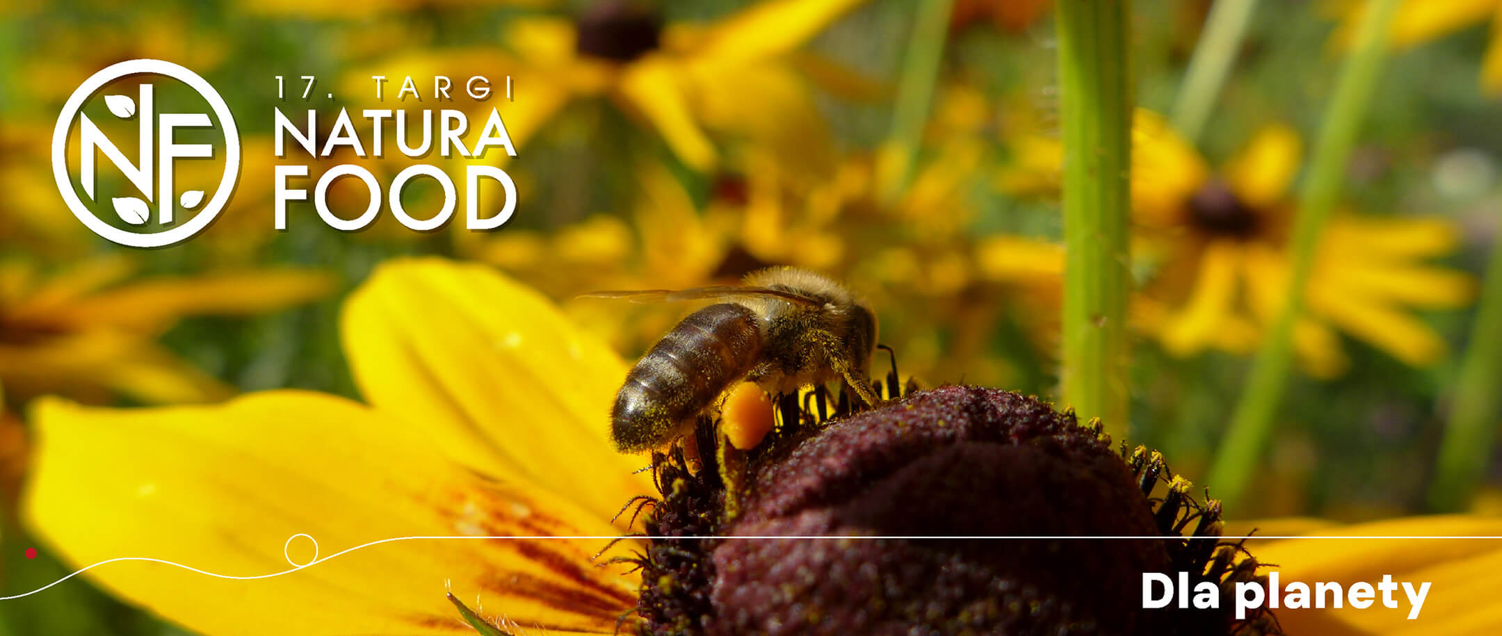 Natura Food